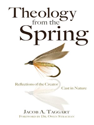 cover image of Theology From the Spring